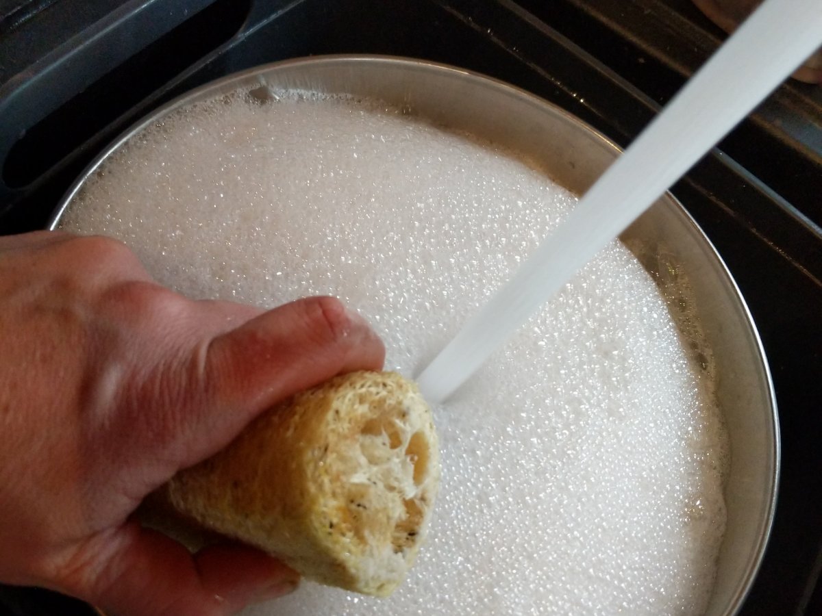 Ditch the Plastic with these Natural Sponges